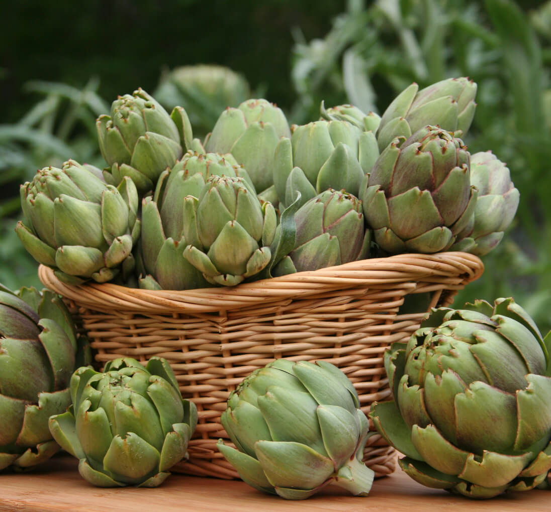 basket artichokes
