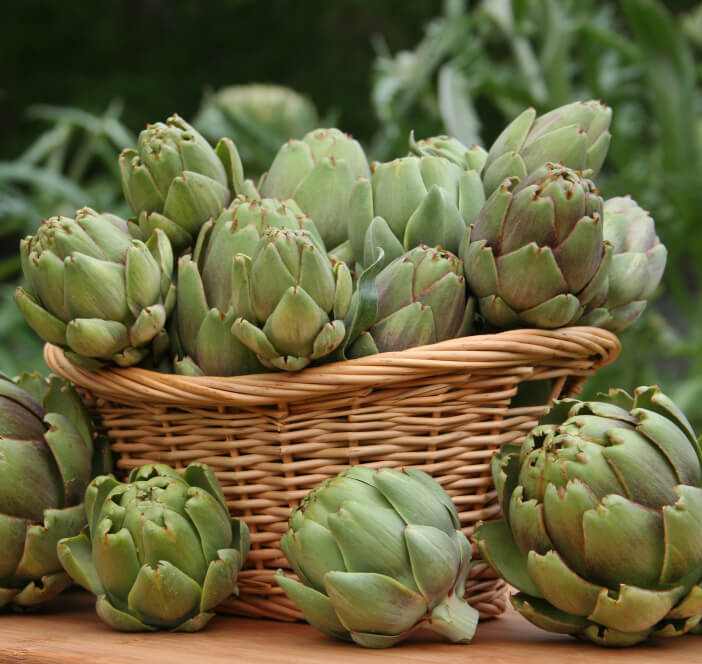 basket artichokes