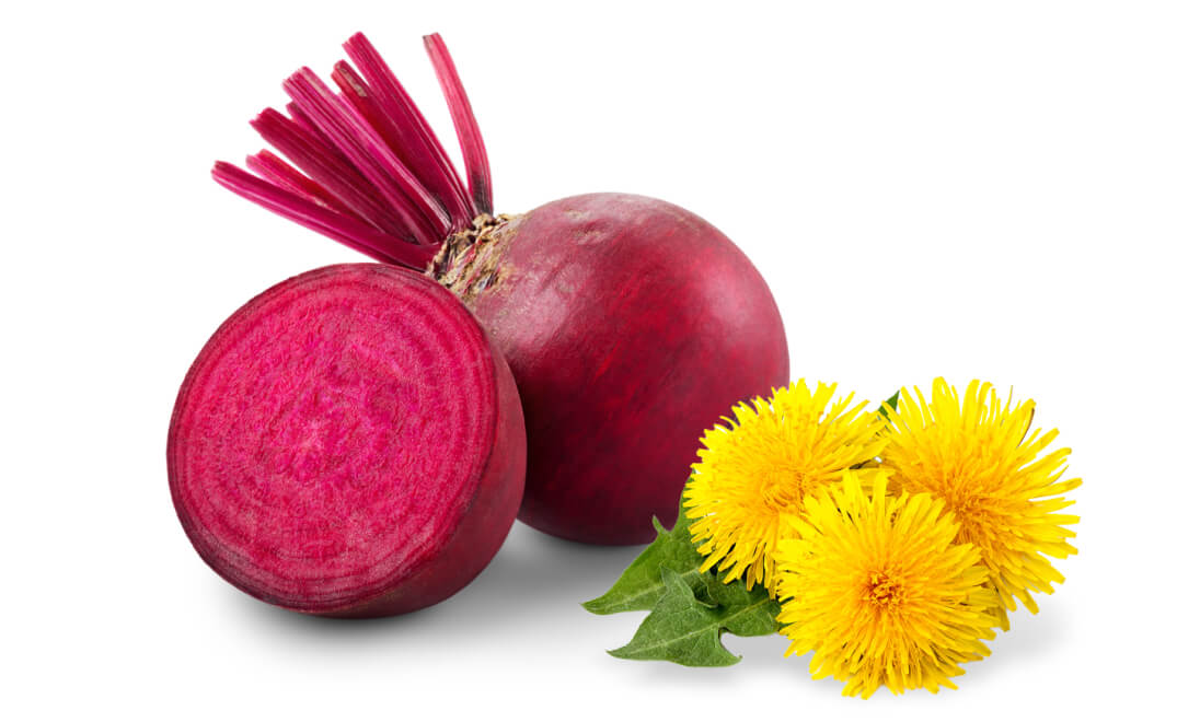 beetroot dandelion