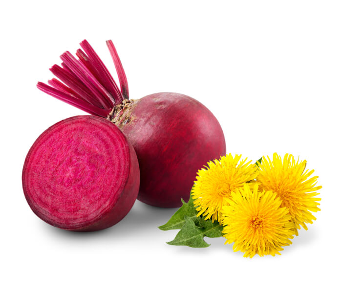 beetroot dandelion